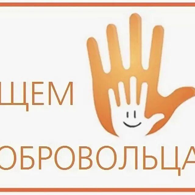 Ищем добровольцев. Ищем волонтеров. нужны добровольцы. нужны помощники волонтеры. требуются добровольцы.