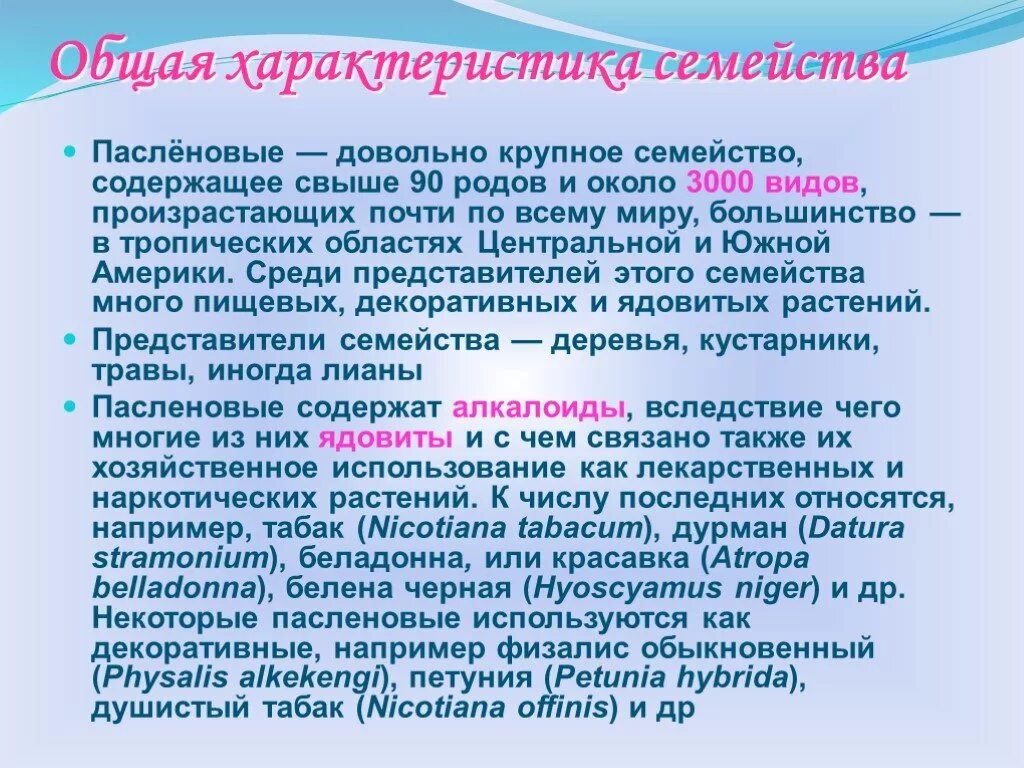 Общие признаки представителей пасленовых. Описание семейства пасленовые. пасленовые общая характеристика. характеристика класс двудольные семейство пасленовые. общие признаки пасленовых 6 класс.