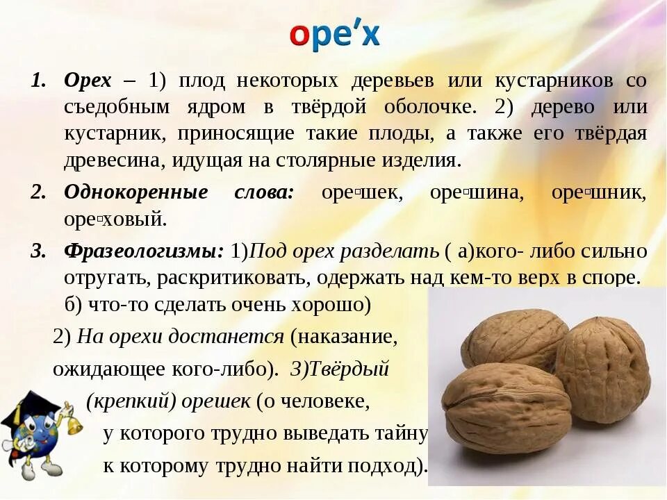 В какое время есть грецкий орех. Орехи с описанием. орехи первого класса. презентация на тему орехи. проект по русскому языку 3 класс рассказ о слове.