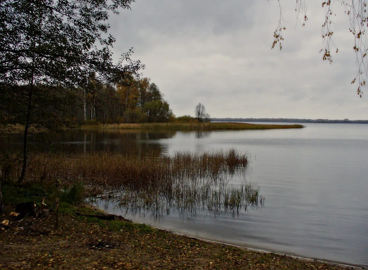 Река Понура в Краснодарском крае. Станица Калининская река Понура. Река Понура 2. Река Понура фото. Река понура