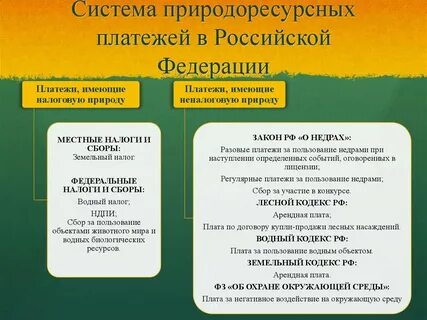 Платежи относятся