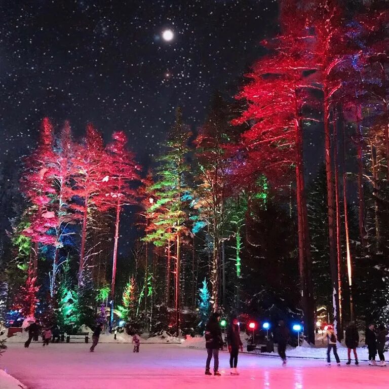 Лесной каток санкт петербург. Лесной каток в ахота парке. Лесной каток в охта парке спб. Лесной каток санкт петербург. Лесной каток в охта парке.