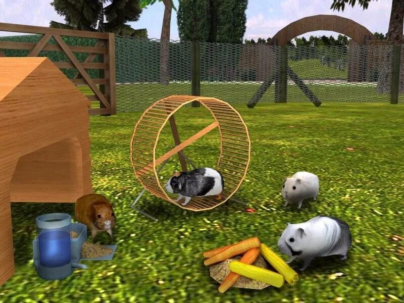 Игра go hamster. Игра про хомяка в шаре. Хамстер игра. Игра hamster. Что за игра в хомяка.