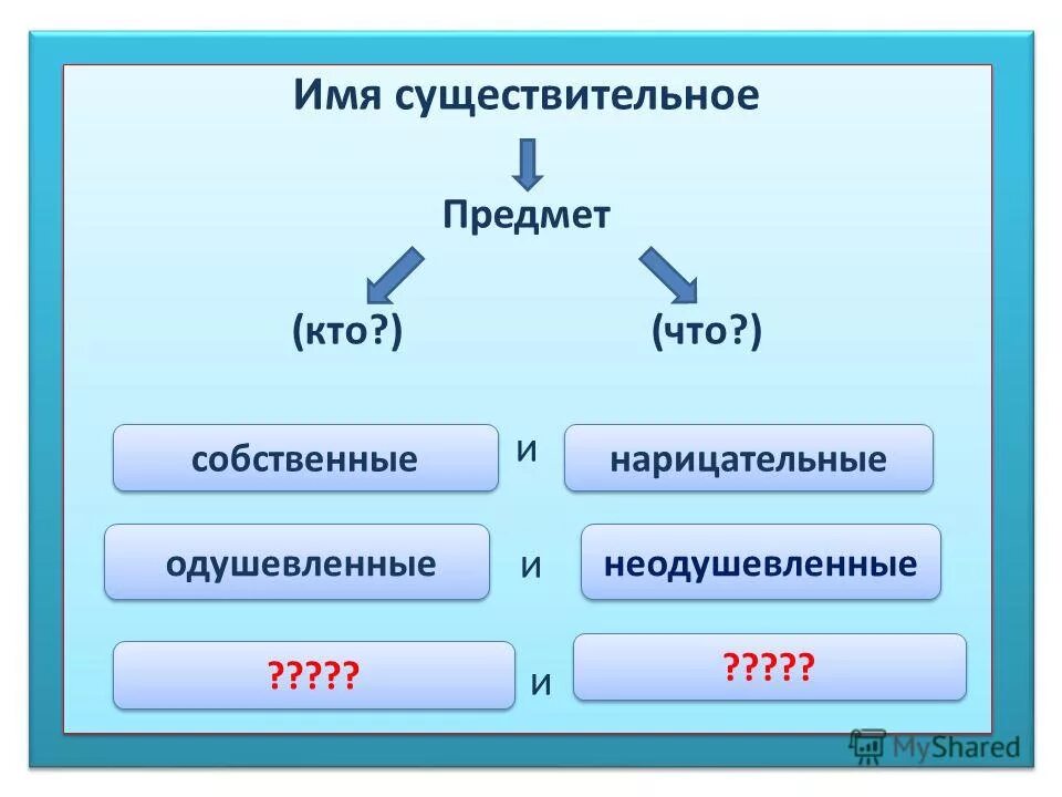 Имя существительное в русском языке вопросы