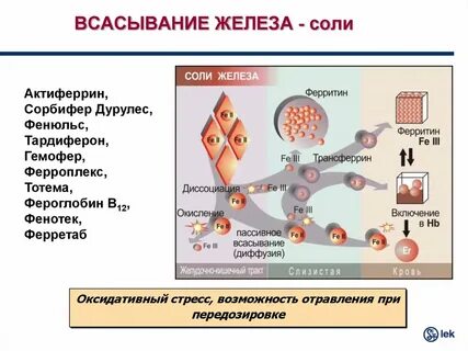 Железо и ферритин в чем отличие