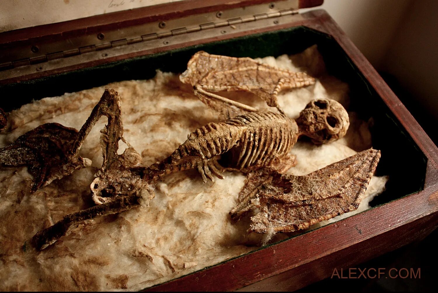 13 самых истории. 13 самых популярных ошибок в руском языке. карамзина (1766-1826). 13 самых истории. 13 самых истории.