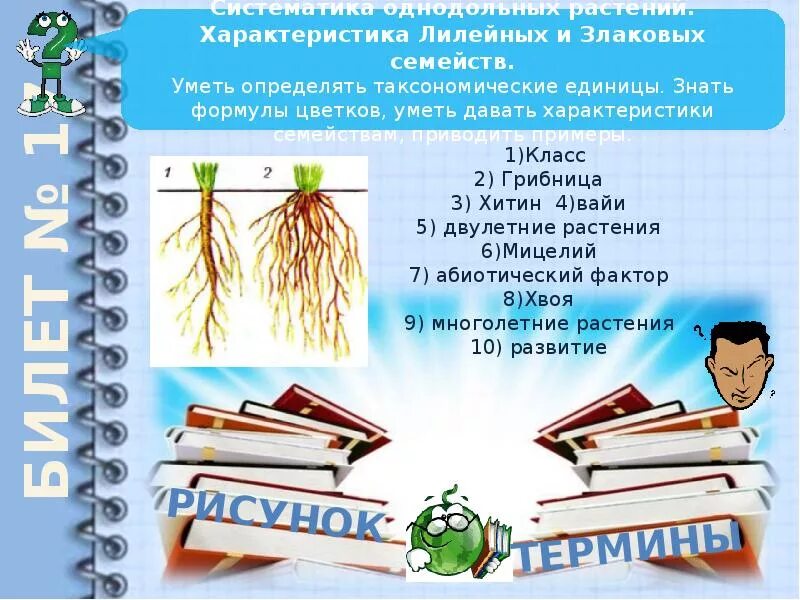 Биология 6 класс знание. Уметь давать характеристику семействам.