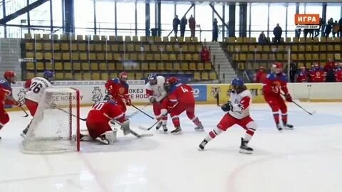 Трактор витязь счет