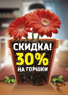 Цветы дисконт