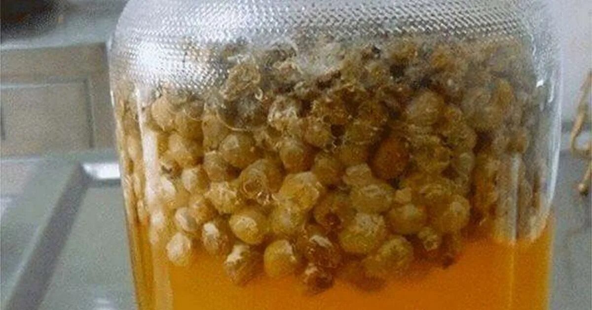 отвар из изюма. отвар изюма для очищения. чистка печени изюмом и водой. черный изюм для очищения печени. изюм и вода очистят печень.