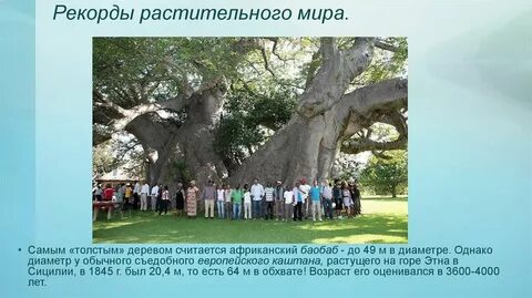 Самые большие презентация