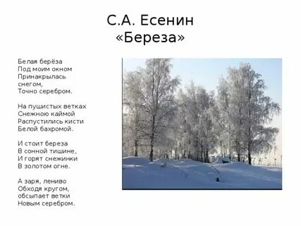 18 берез слова