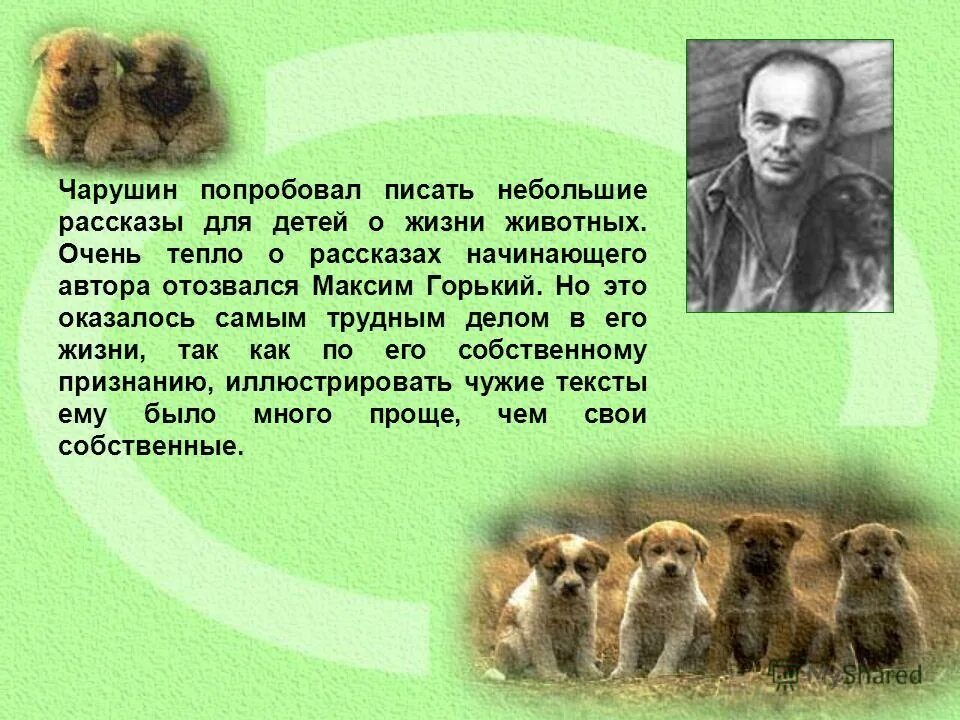 Рассказы начинающих авторов. Рассказы начинающих авторов. Рассказ про книгу путь. 642 идеи для историй блокнот начинающего писателя. Рассказы для первого класса.