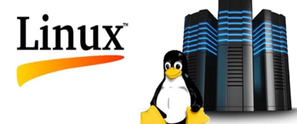 Как сделать linux сервер. Linux сервер. web linux. linux server distros. hosts linux.
