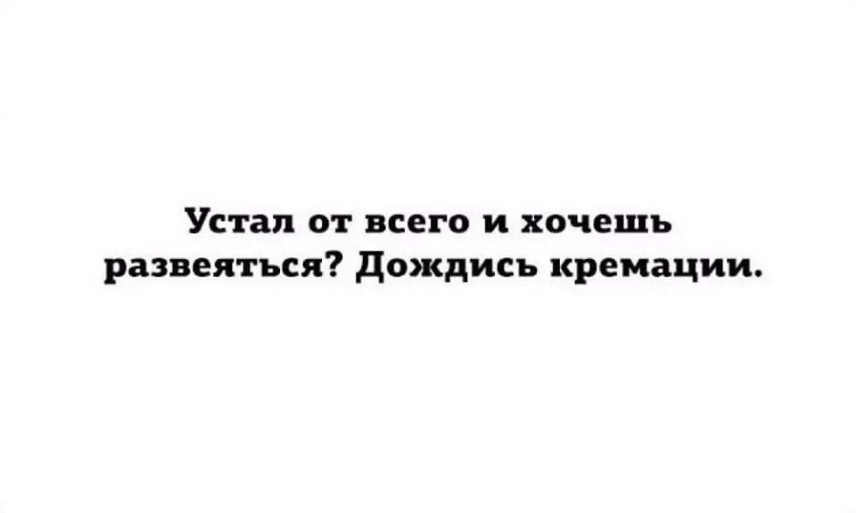 Устал от всего хочешь развеяться дождись кремации. Хочешь развеяться дождись. Хочешь развеяться дождись кремации. Устал хочешь развеяться. Развеевшись