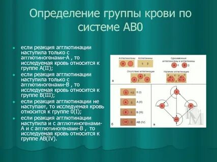 Система ab0