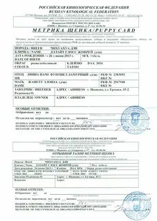 Документы на собаку