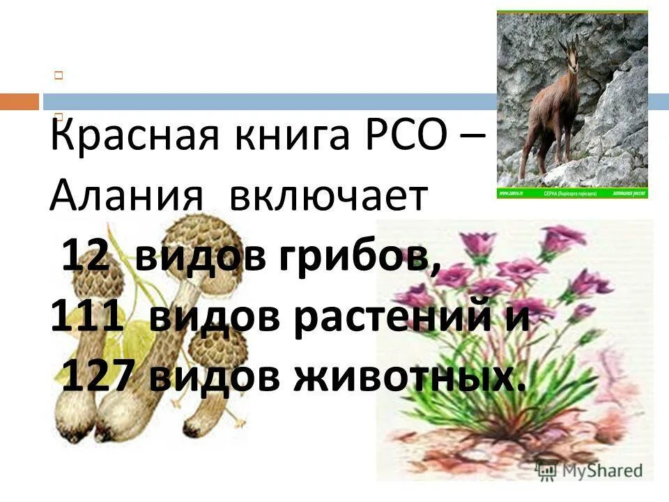 Растения красной книги северной осетии. Растения рсо алания. Растения северной осетии занесенные в красную. Национальный парк алания в северной осетии. Красная книга рсо-алания гриб.