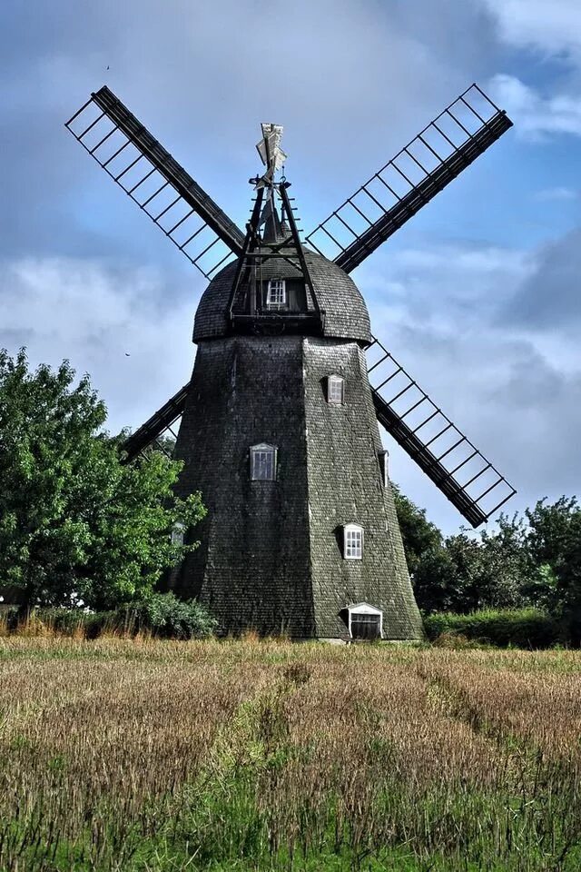 киндердейк нидерланды мельницы. ветряные пильные мельницы 17 века. мельница ветряная биканина кижи. ветровая мельница в нидерландах. ветряная мельница голландия.