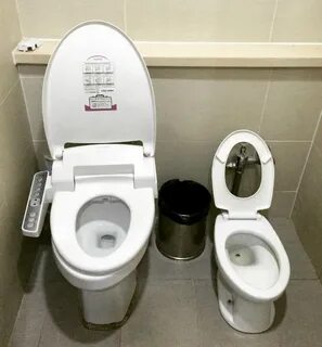 Двойной унитаз