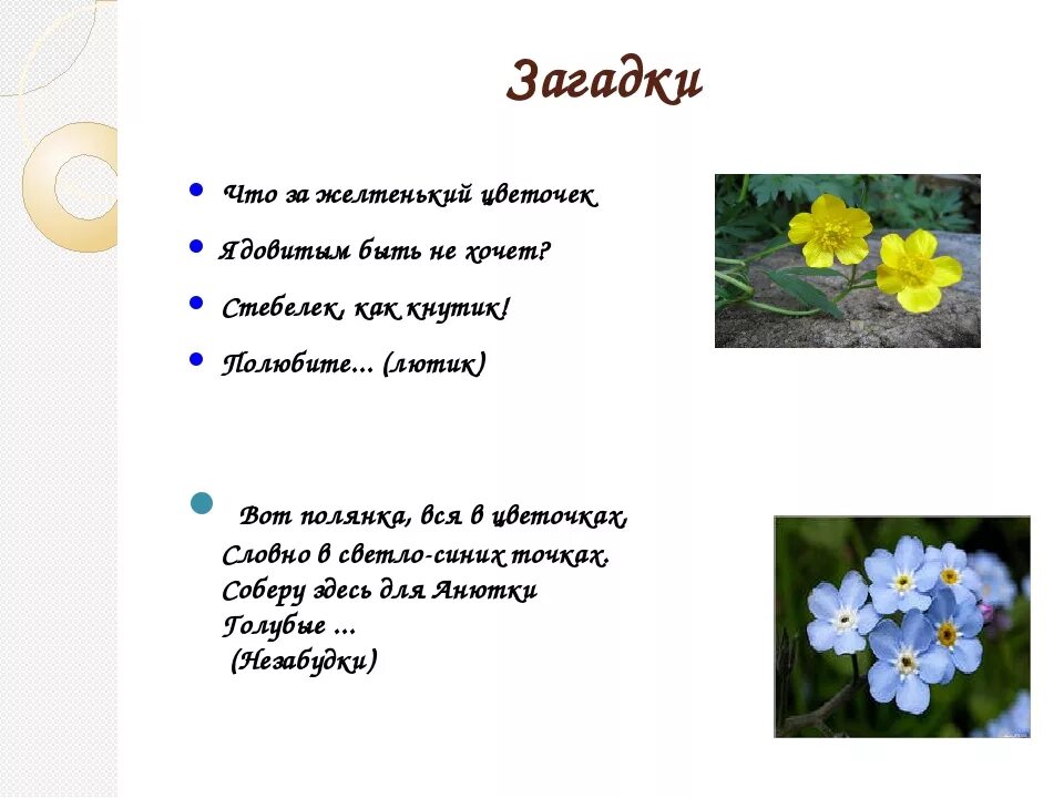 Загадки о цветах. Загадки про цветы для детей. Загадки на тему цветов. Стихи и загадки о цветах.