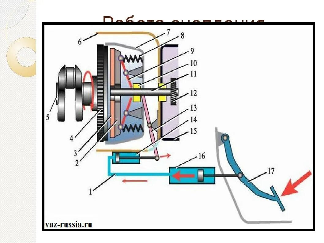 Сцепление схема и принцип работы. Принцип работы сцепления автомобиля. Схема работы автомобильного сцепления. Сцепление устройство и принцип работы.