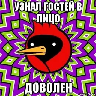 Вить т