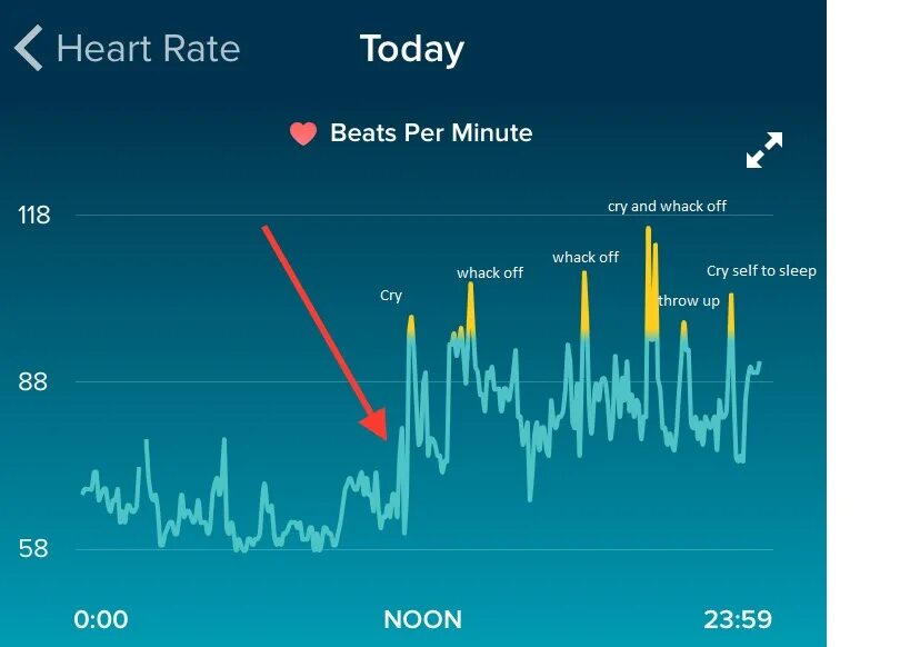 Heart rate. Heart rate Beats per minute. Heart rate (BPM). Accelerated Heart rate. Show rate