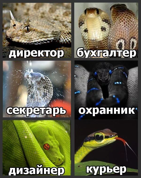 Работа в Женском Коллективе - YouTube