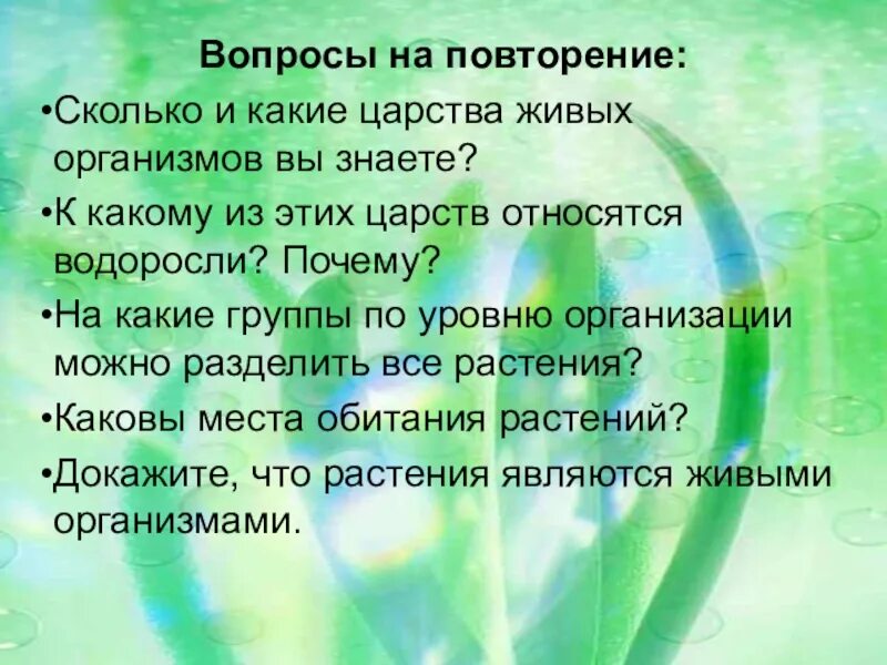 Водоросли относят к живым организмам потому что они. Почему водоросли относятся к растениям. Повторение темы водоросли. Почему водоросли низшие растения.