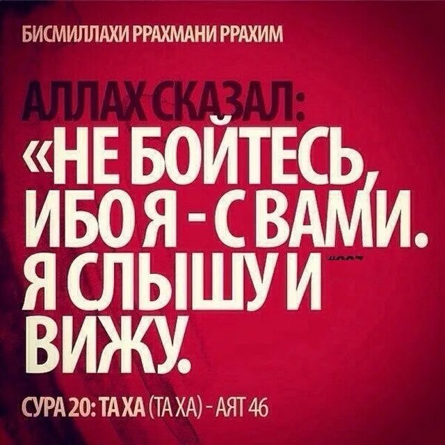 Хадисы сура аят. Цитаты аяты. Хадисы и аяты. Исламские аяты. Красивые аяты из корана.