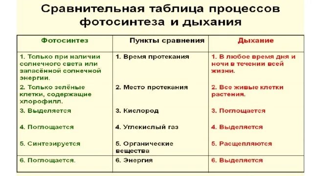 Сравнительная характеристика фотосинтеза и дыхания растений. Сравнительная таблица фотосинтеза и дыхания. Таблица сравнение процессов фотосинтеза и дыхания. Взаимосвязь процессов фотосинтеза и дыхания таблица.