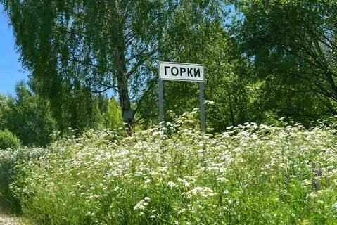 Погода д горки московская область