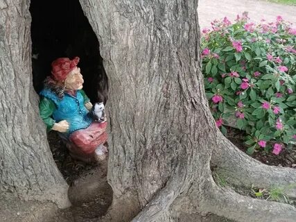 В саду поселилось 4