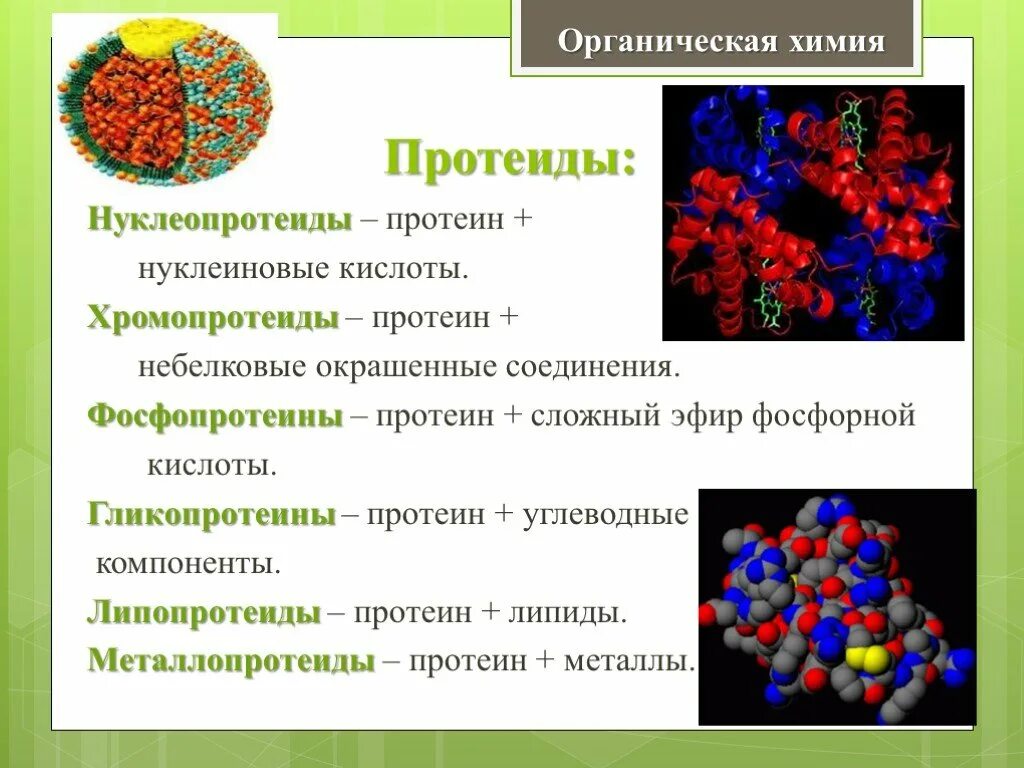 Сложное соединение белков. Сложные белки протеиды. Сложные белки хромопротеиды и нуклеопротеиды. Характеристика протеинов и протеидов. Хромопротеиды примеры белков.