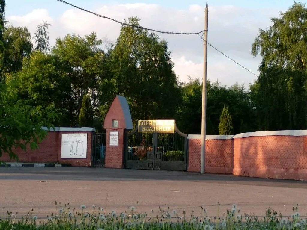 борисовское кладбище список кладбищ москвы. кладбище борисовские пруды. мударисовское кладбище. борисовское кладбище москва. еврейское кладбище салтыковка.