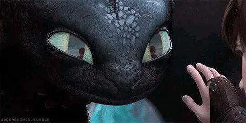Toothless dance meme