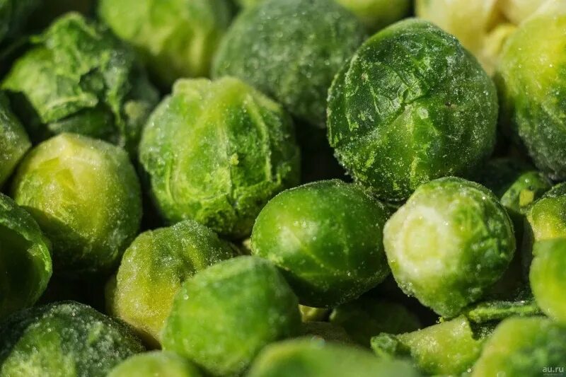 Brussels Sprouts Companion Planting Guide - 2022 - MasterClass in 2022 Companion