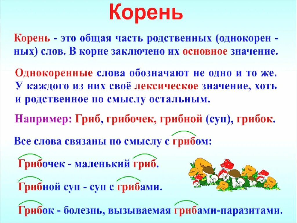 Развитый подобрать слово. Корень правило русский язык 2 класс. Правила корня в русском языке 2 класс. Корень определение русский язык 2 класс. Правила русского языка 3 класс корень слова.