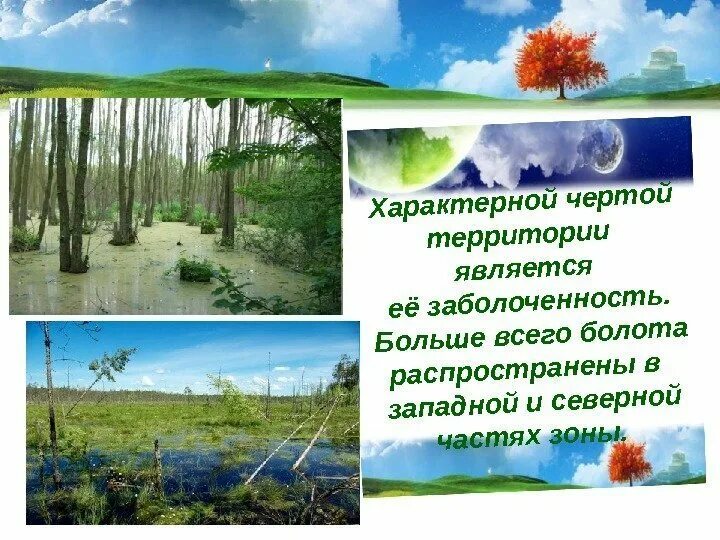 Схема причины заболоченности западно сибирской равнины. Территория для которой характерна наибольшая заболоченность. Территория для которой характерна наибольшая заболоченность. Образование болот в западной сибири. Территория для которой характерна наибольшая заболоченность.