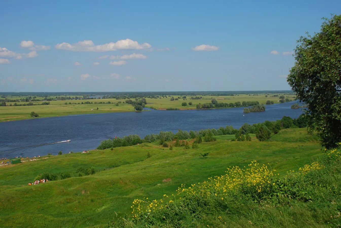 Деревня константиново. Село константиново рязанская область. село константиново рязанская область родина есенина. родина есенина село константиново. константиново рязанская область берег реки оки.