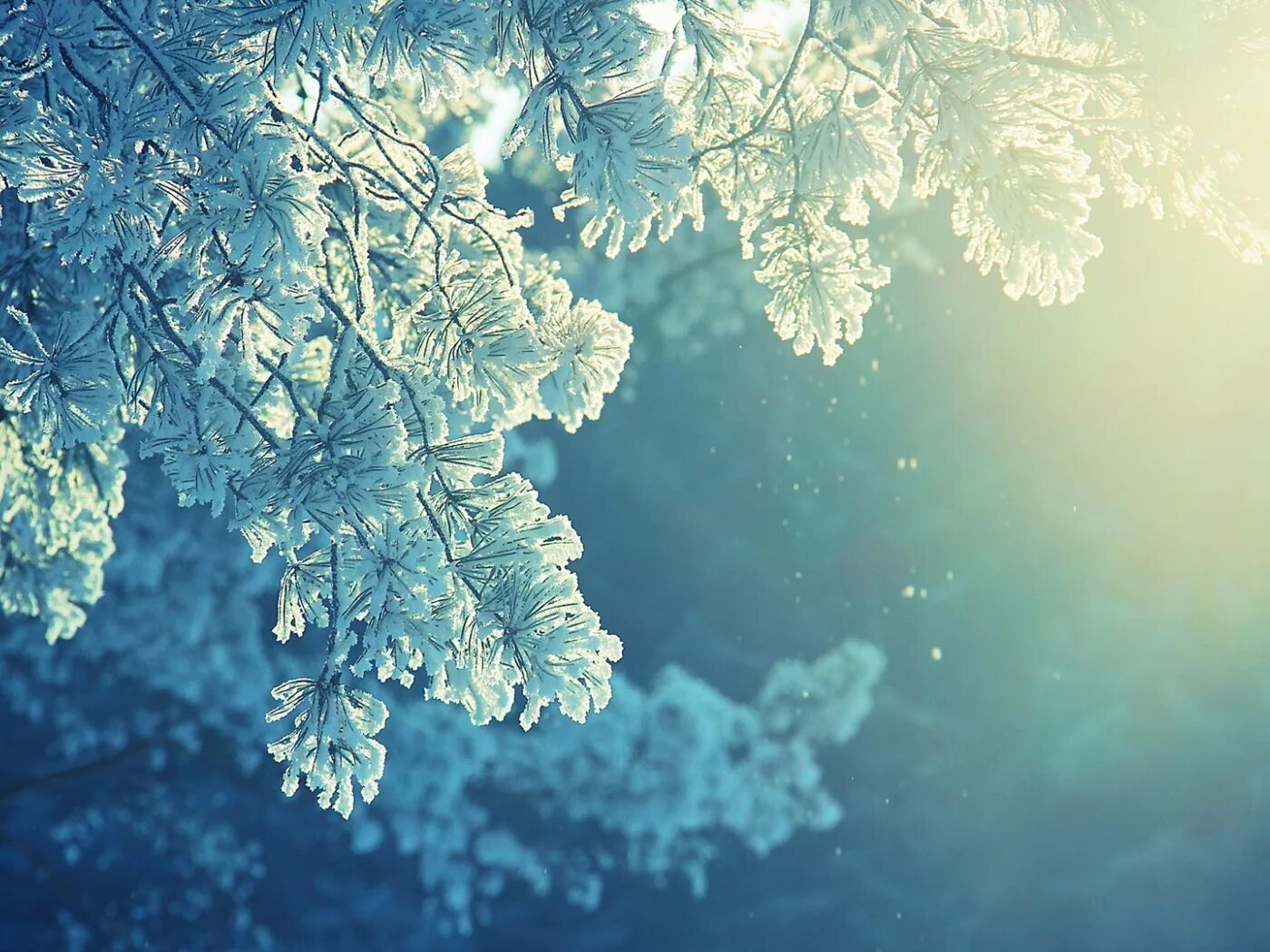 Зима на рабочий стол смартфона. Зима на рабочий стол смартфона. Снежный пейзаж. Винтер сноу. Зимний лес.