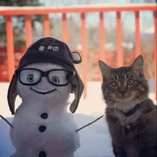 Прикольные зимние картинки для поднятия