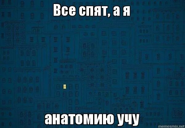 Как учить анатомию. Все спят. все я спать. пока все спят. мемы про анатомию.