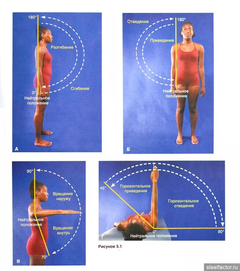 Максимальные движения суставов. Плечевой сустав сгибание разгибание отведение. Горизонтальное отведение в плечевом суставе. Сгибание разгибание отведение приведение в плечевом суставе. Сгибание разгибание отведение приведение вращение плечевого сустава.