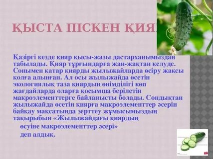 BBW жеке онлайн