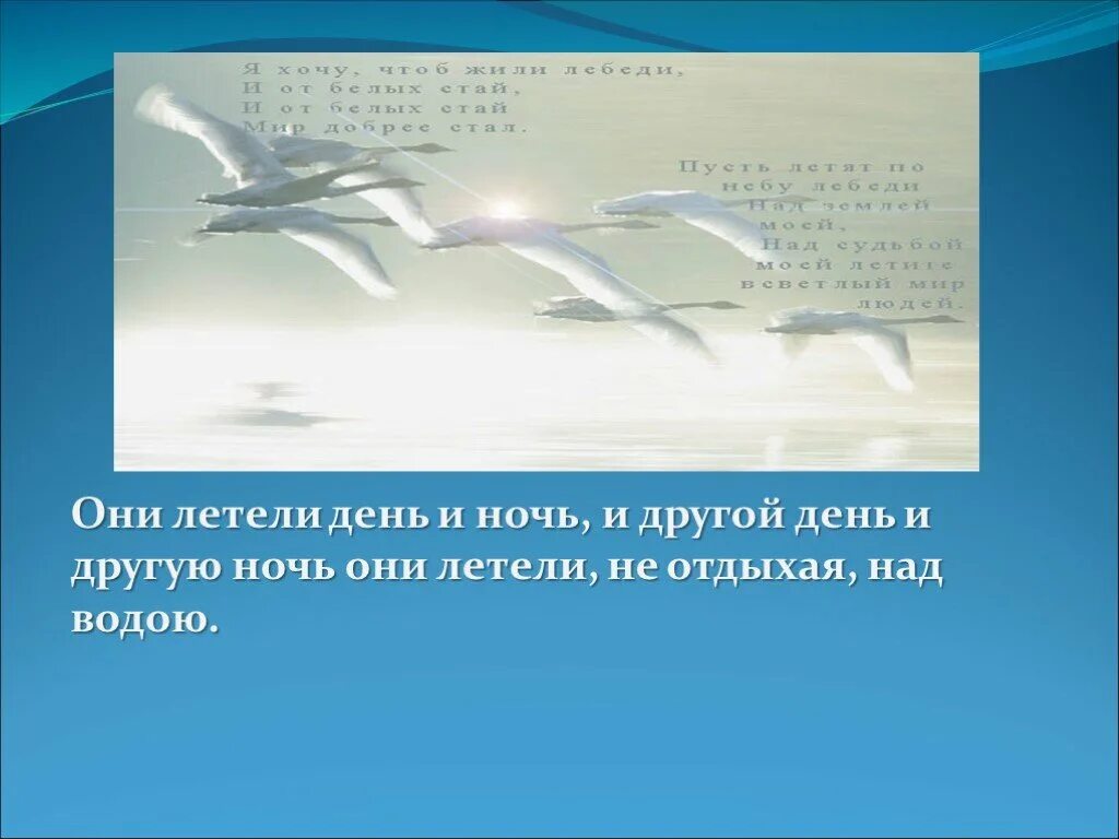 Лев Николаевич толстой лебеди стадом летели. Урок чтения лебеди толстой. Рассказ Толстого лебеди текст. Презентация л н толстой лебеди. Лебеди толстого 3 класс