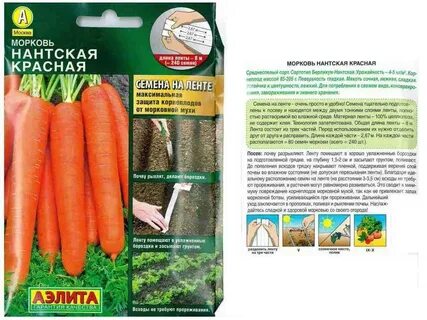 Морковь нантская характеристика и описание