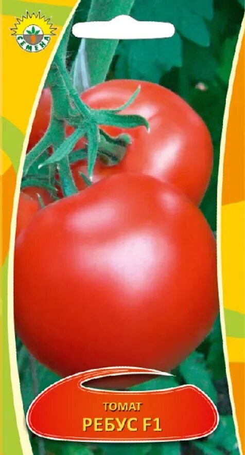 Ребус помидор. Tomato ребус. Сидр с помидоры. Ребус томат.