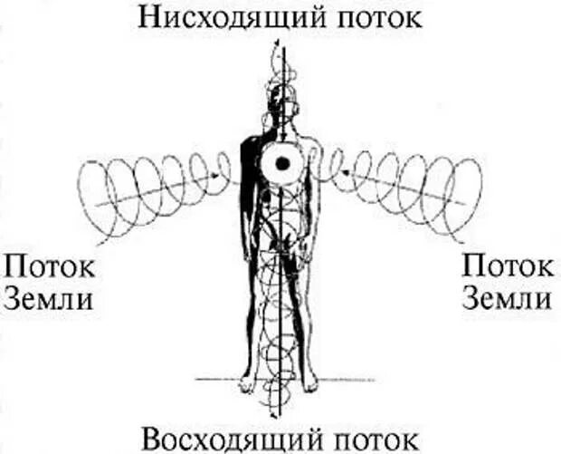 Нисходящий человек. Центральные энергетические каналы восходящий и нисходящий. Восходящий и нисходящий потоки энергии. Восходящий и нисходящий потоки энергии в теле человека. Энергетическое строение человека.